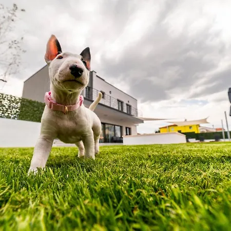 Piante - Pool, Whirlpool