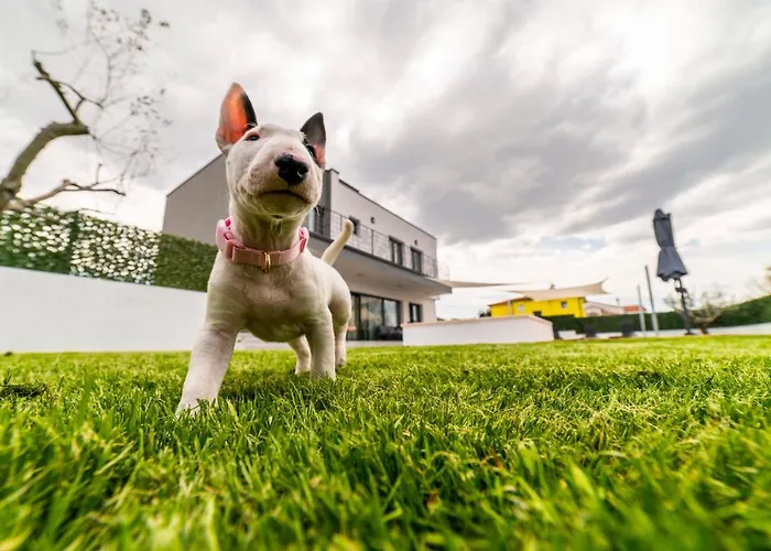Piante - Pool, Whirlpool