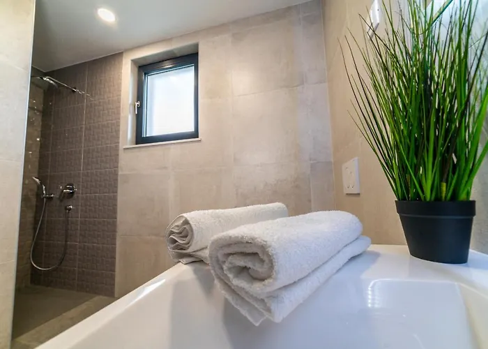 Piante - Pool, Whirlpool Villa Antonci (Porec)